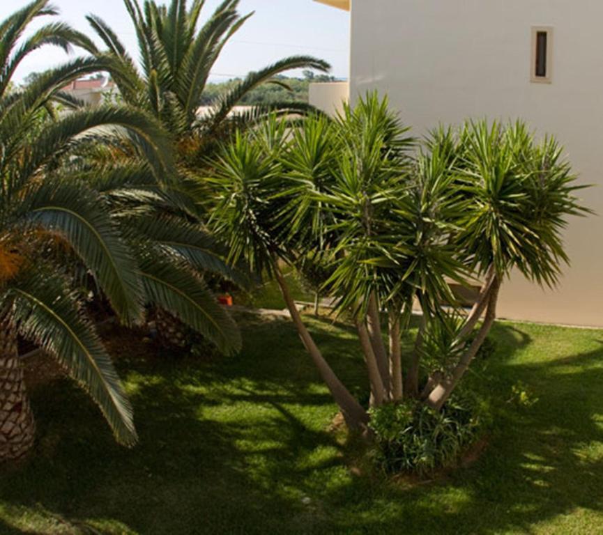 Olga Suites Μάλεμε Εξωτερικό φωτογραφία